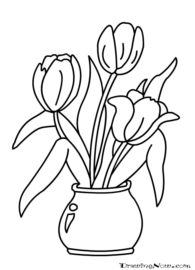 Tulip Outline Drawing at GetDrawings | Free download