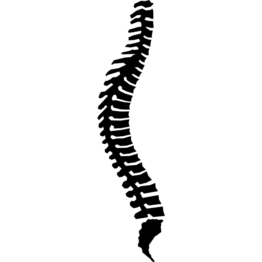 Spine Silhouette at GetDrawings | Free download