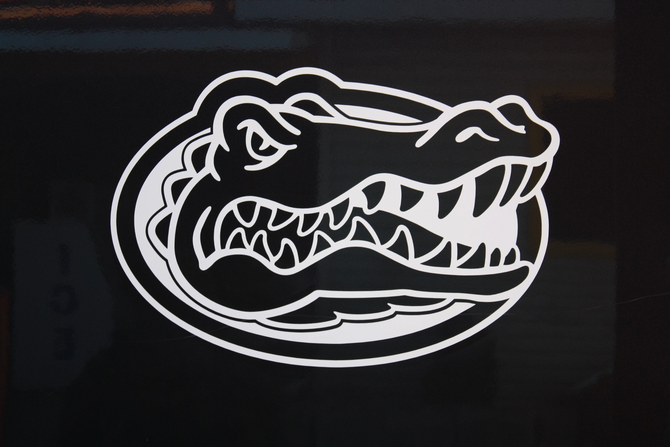 Florida Gators Phone Wallpapers on Behance