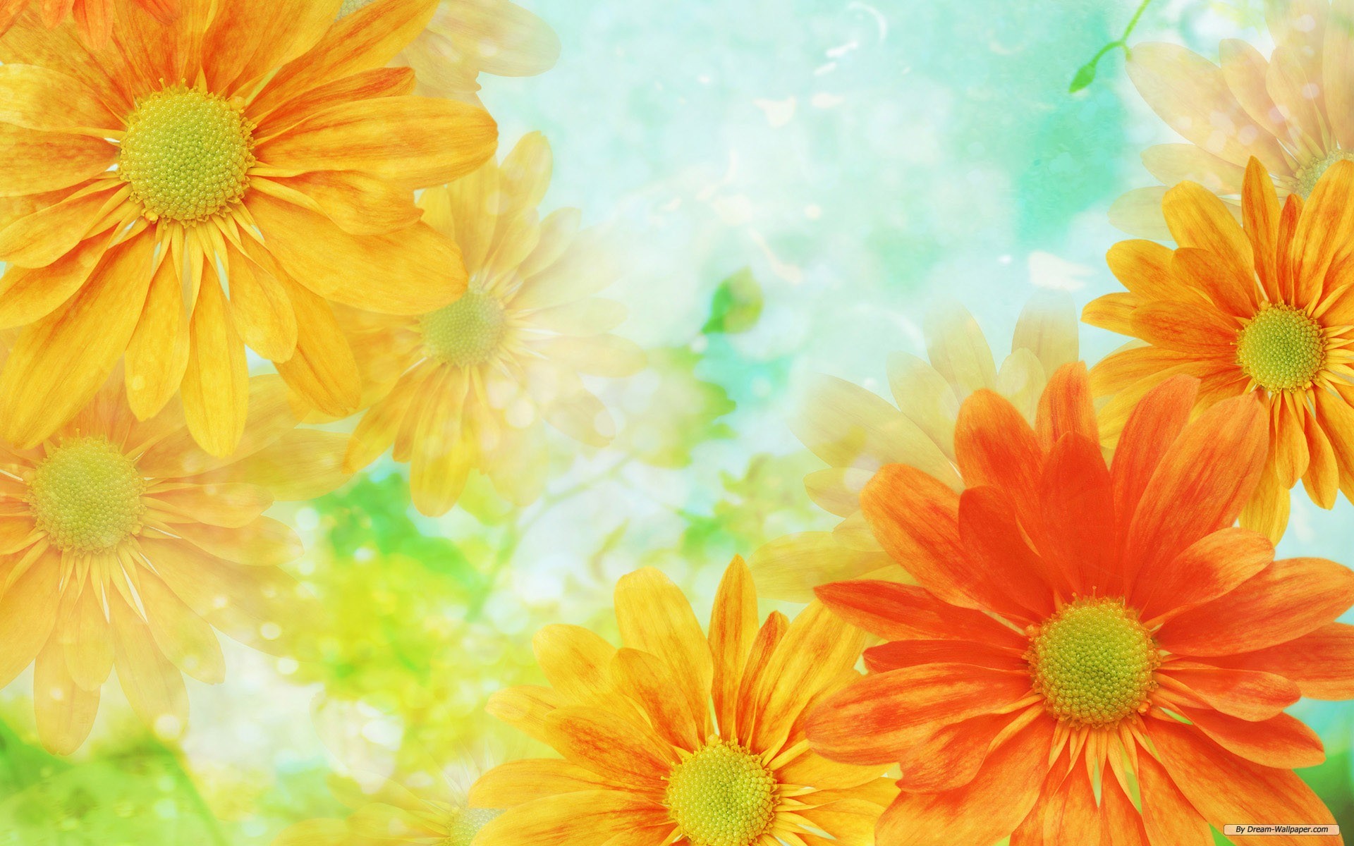 Flower Wallpaper (64+ images)