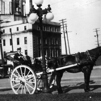 horse buggy