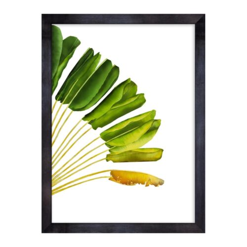 RAV-TRA-ART-1 Ravenala Travellers Palm Wall Art