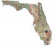 Florida Satellite Map