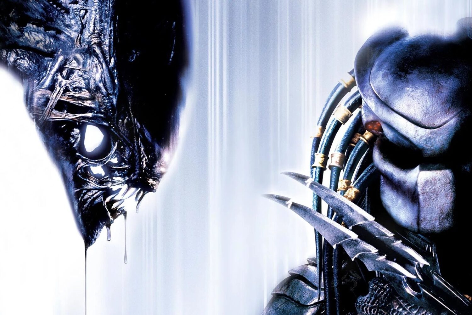 Alien Vs Predator