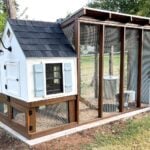 Backyard bird coop