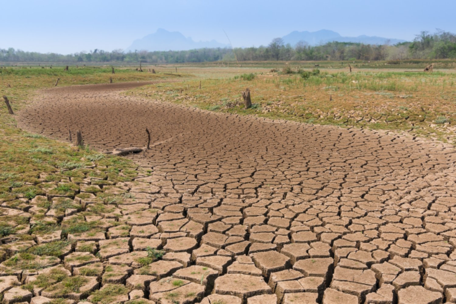 A stretch of ground suffering severe drought.