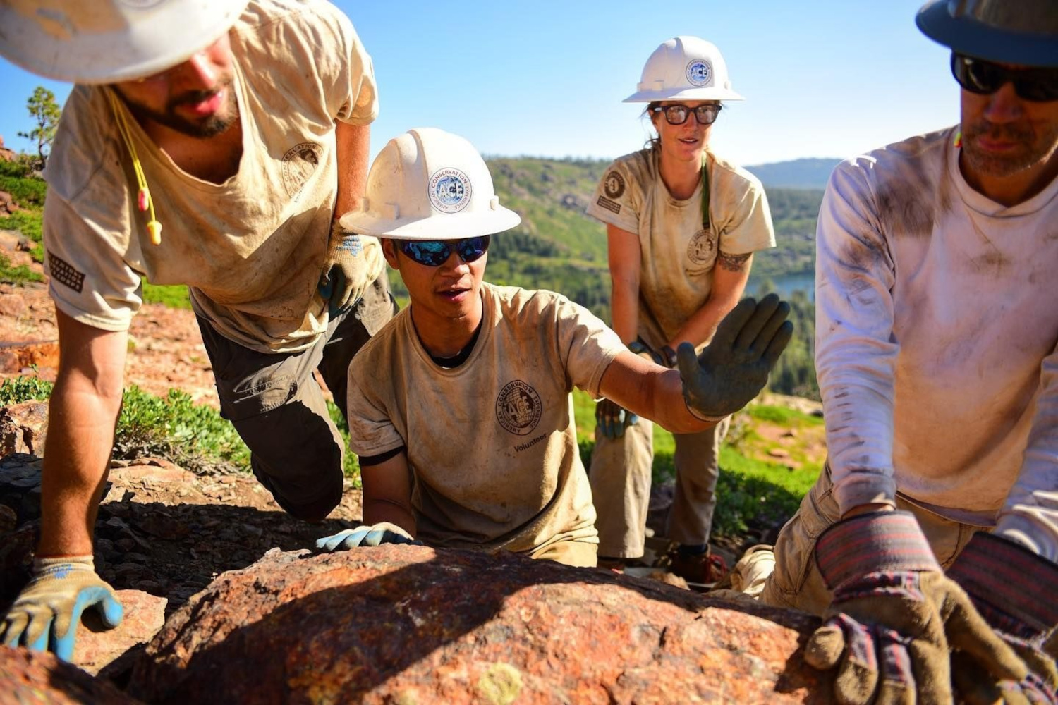 Conservationists at work.