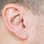 Ear Stock Image