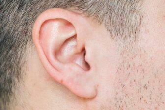 Ear Stock Image