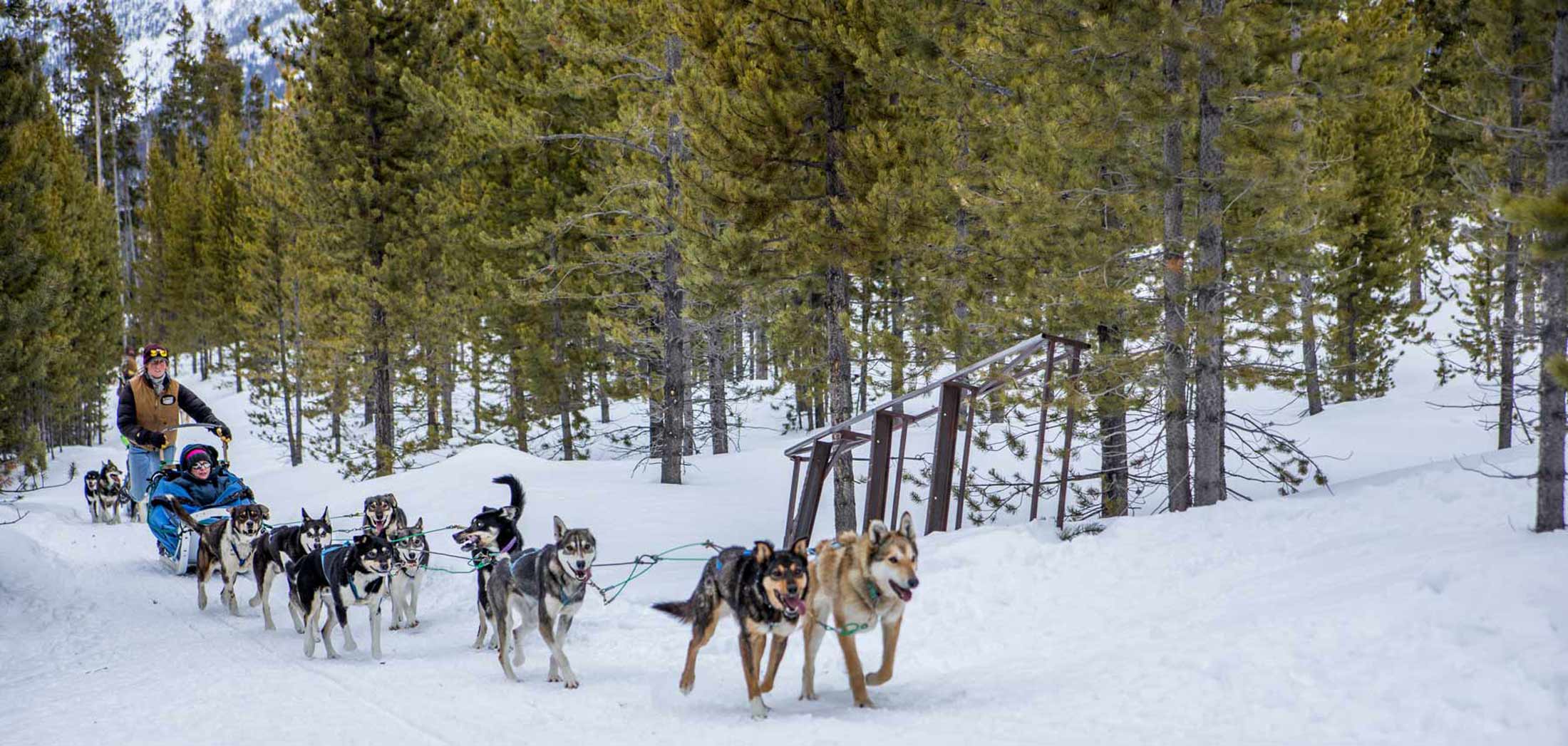 Winter Adventures in Glacier and Yellowstone Country