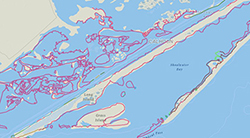 Environmental Sensitivity Index Shoreline