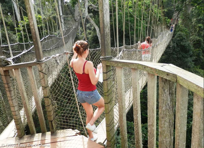 https://www.easytrackghana.com/images/photos2/kakum-canopy-walkway-bridges.jpg