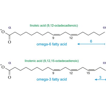 Chemical Makeup Of Fatty Acids | Saubhaya Makeup