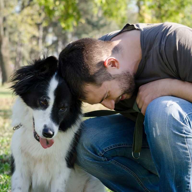 work from home dog owner with pet dog