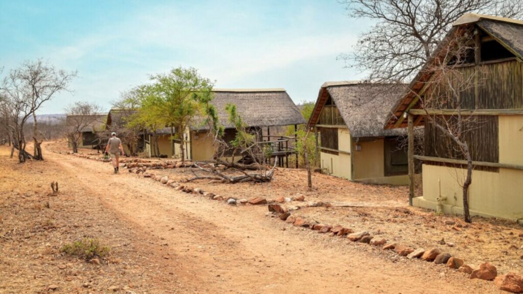 African Wildlife kruger national park