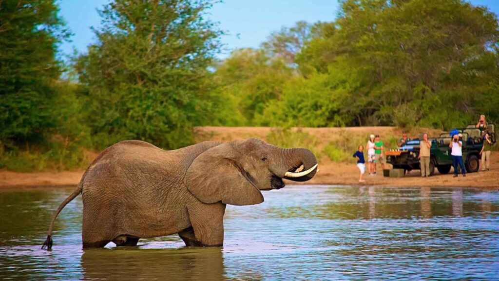 kruger national park