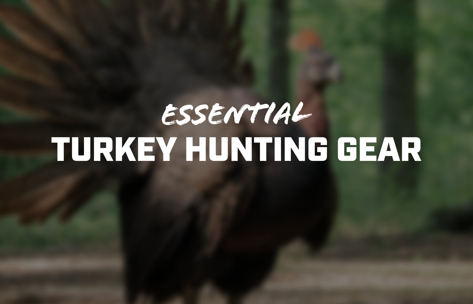 Turkey Hunting Gear Guide: Find Your Turkey Hunting Essentials – AXIL