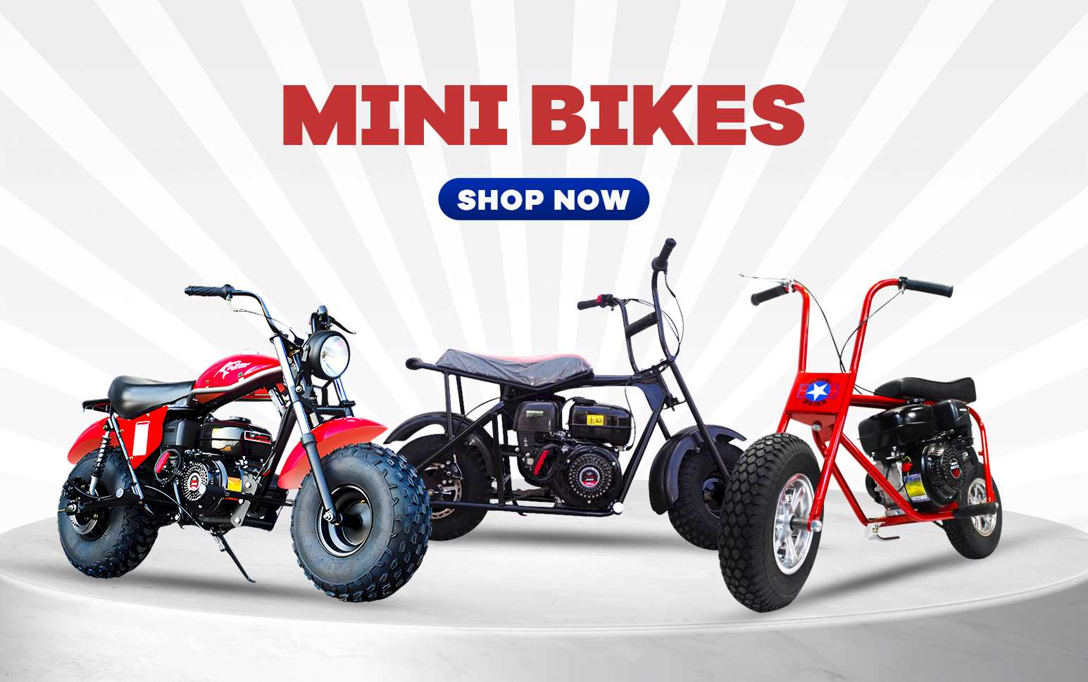 MINI BIKES