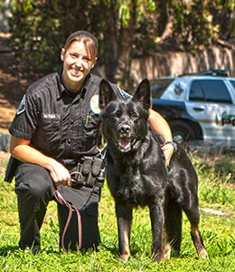 How Much Does A Police Dog Handler Make