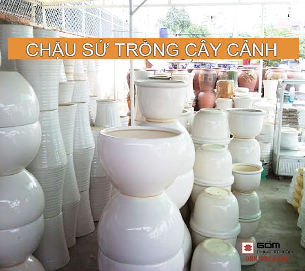 100 Chậu Sứ Trồng Cây Giá Lẻ - Buôn Rẻ Nhất