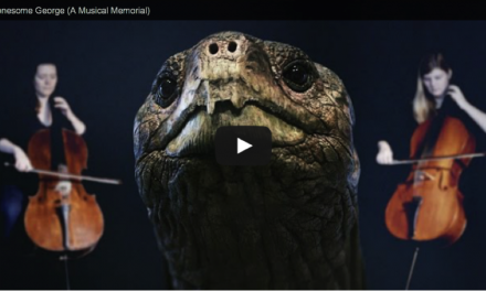 Check Out NPR's Musical Tribute to Lonesome George (Video)