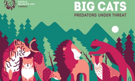 World Wildlife Day 2018—Big Cats: Predators Under Threat