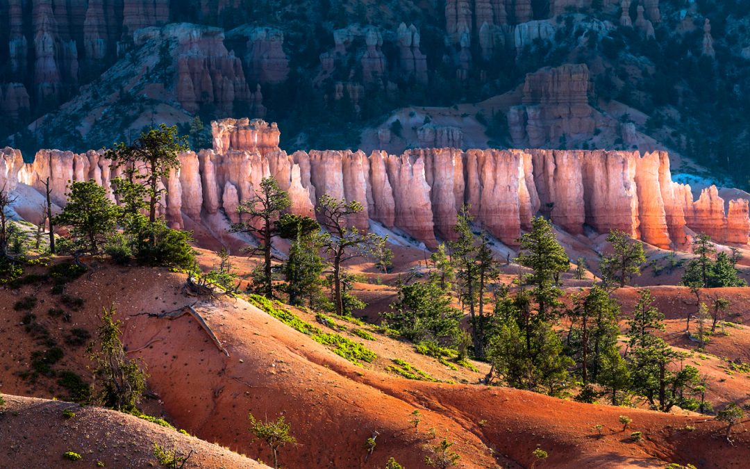 From Acadia to Yellowstone: The Best U.S. National Parks to Visit This Summer