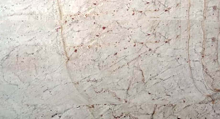 Burgundy White Granite