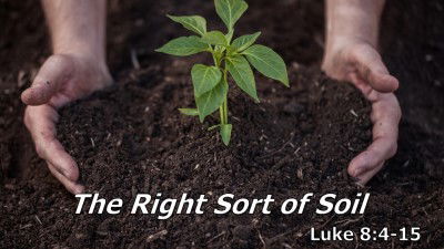 The Right Sort of Soil (Luke 8:4-15) | GracePoint Church