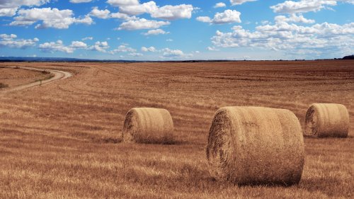 Hay Bales in Field Wallpaper