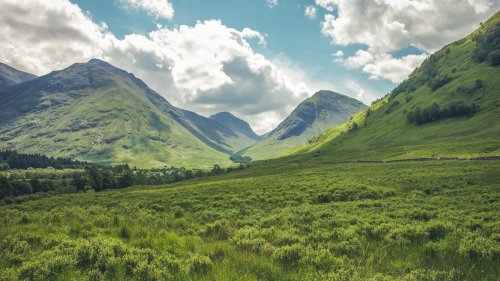 Mountain Meadow Wallpaper