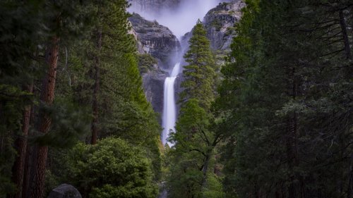 Waterfall in Forest Wallpaper