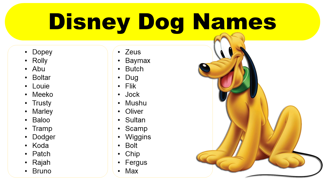 Disney Dog Names: Male, Female And Uncommon Names - GrammarVocab