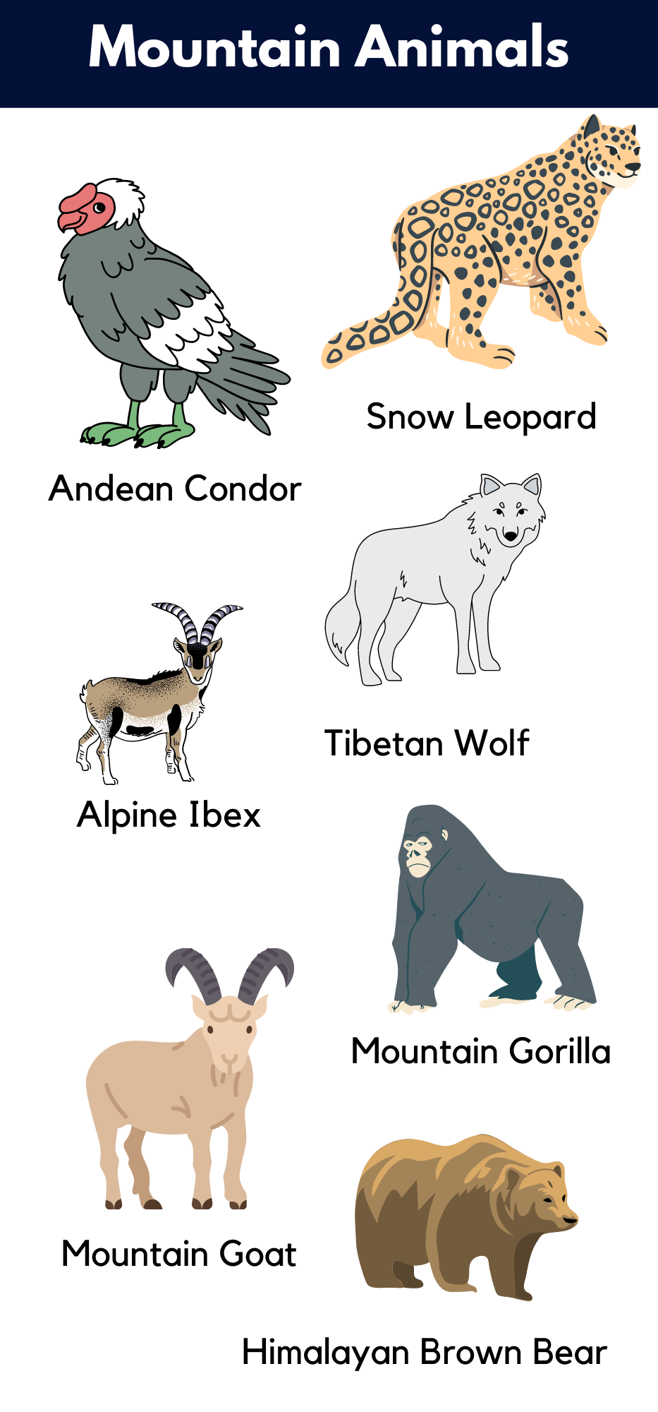 Mountain Animals Name