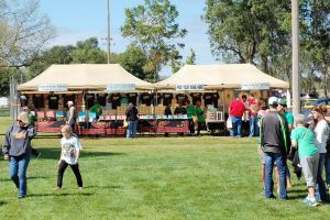 Festival – Greeley Irish Festival