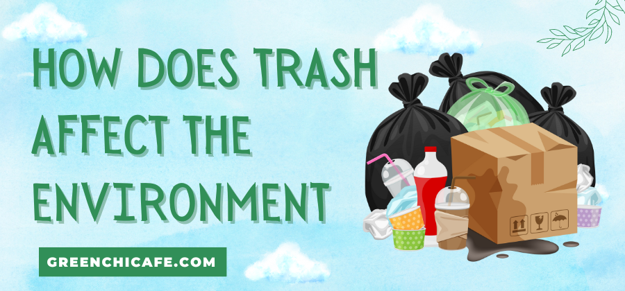 From Dump to Disaster: The Environmental Fallout of Trash