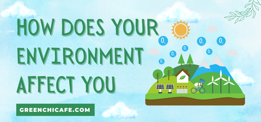 The Hidden Impact of Your Surroundings: How The Environment Shapes Your Life