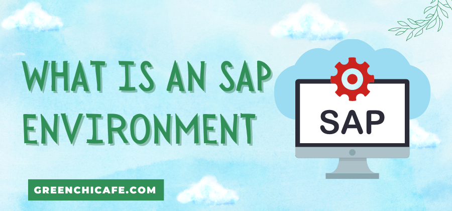 What Is SAP Environment? Full Guide