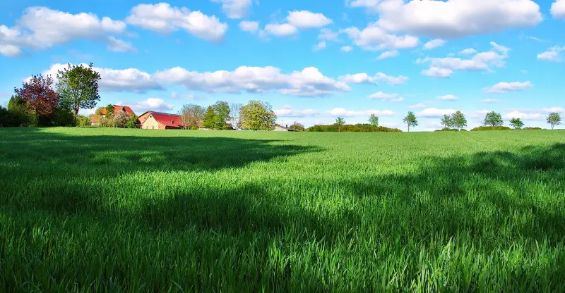 landscape of a house in the country side