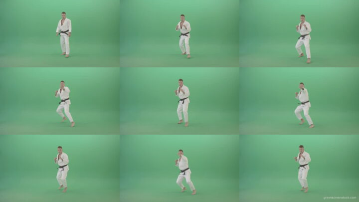 Karate-man-fight-front-vie-kick-punch-isolated-on-green-screen-4K-Video-Footage-1920 Green Screen Stock