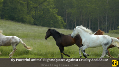 65 Powerful Animal Rights Quotes Against Cruelty And Abuse