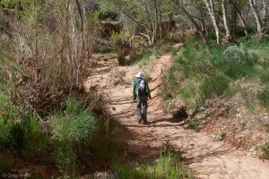 Grand Gulch Trail