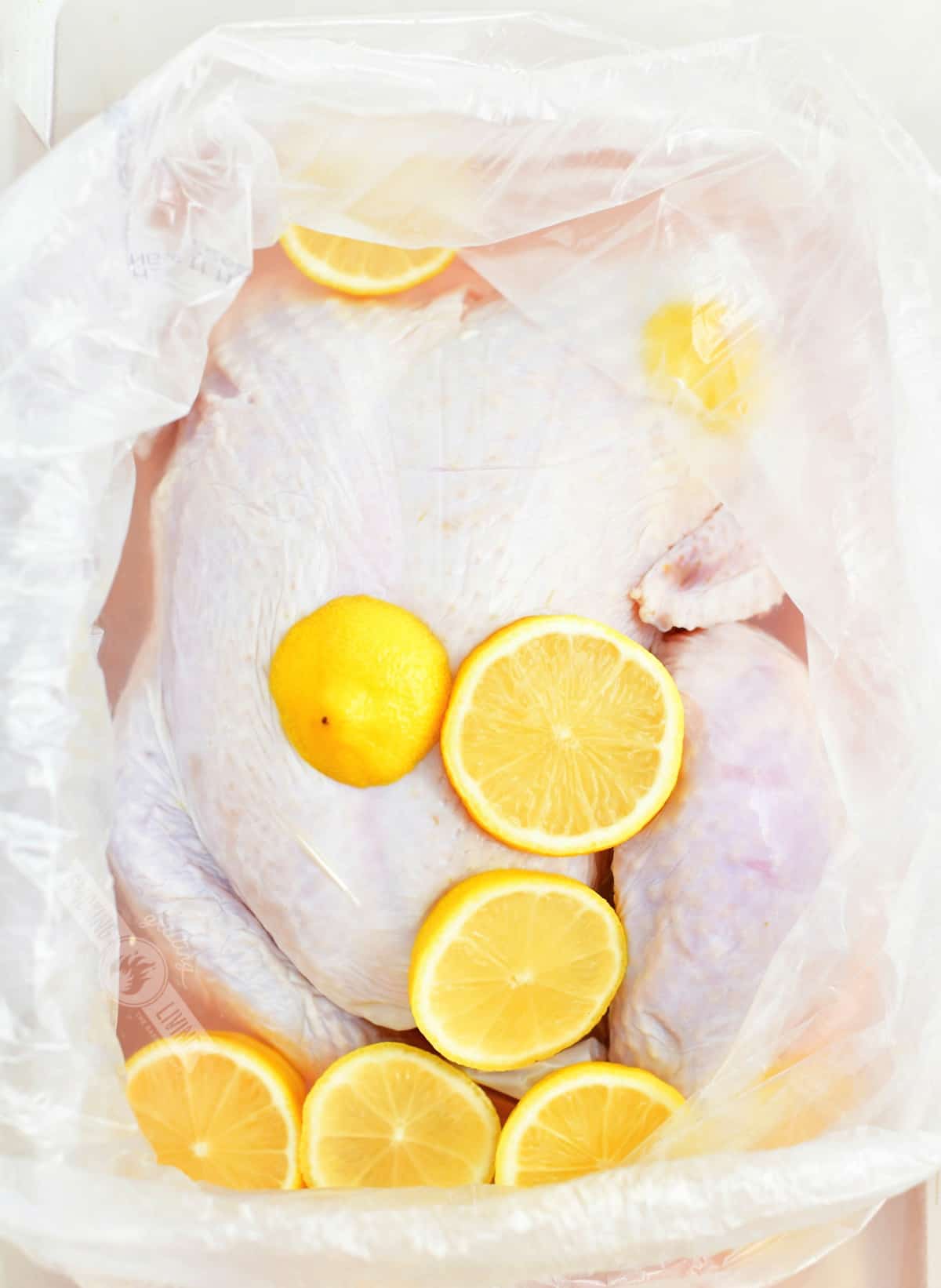 raw turkey in a brining bag with brine and lemon slices