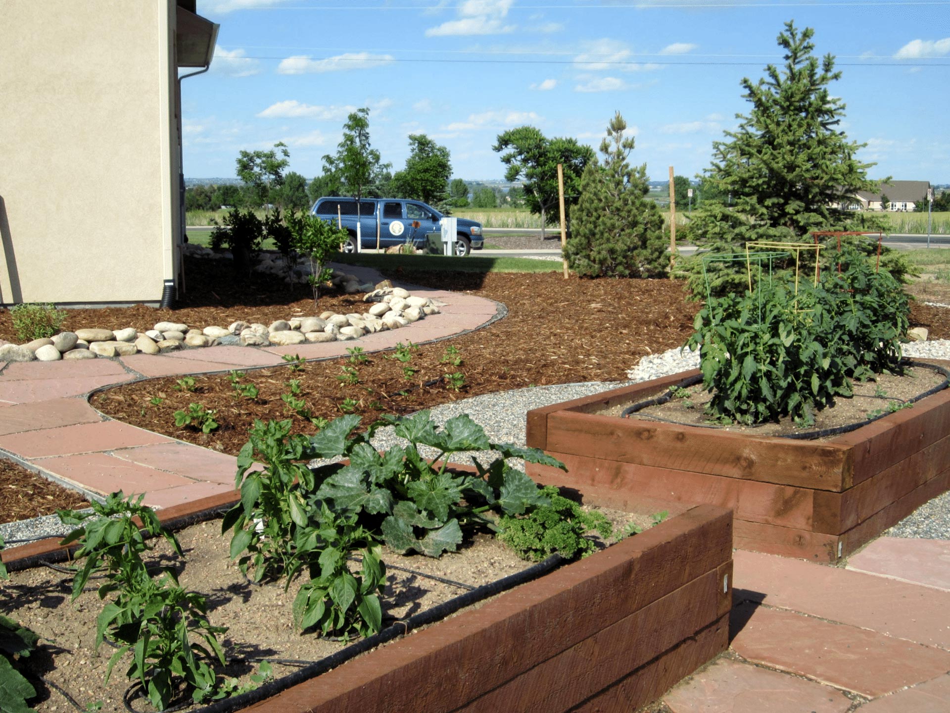 Landscape Installer Fort Collins CO