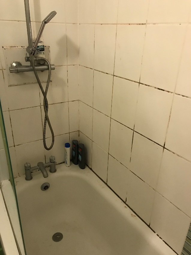 Removing Mould from Grout