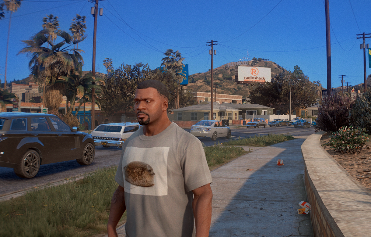 Epic seal shirt 1.0 (only Version) – GTA 5 mod