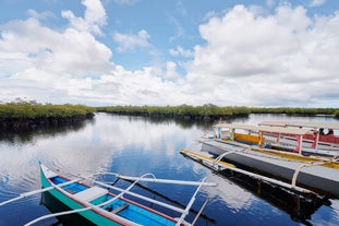 Bohol's Cambuhat River Cruise