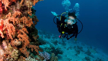 PADI Adventure Dive | Haka Dive Center Panglao Bohol