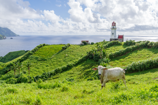 Hassle-Free 3-Day Batanes Package with Budget Hotel, Daily Breakfast & Airport Transfers