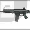 Sig Sauer SIG556 Patrol Rifle